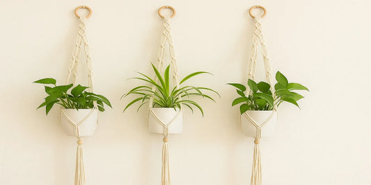 Three cream-colored macrame plant hangers with white pots and green plants hang symmetrically on a beige wall, creating a clean boho decor look.