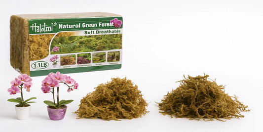 Halatool 1.1LB Natural Green Forest Sphagnum Moss with pink orchids and loose dried moss, ideal for orchid repotting and plant care indoors or outdoors.