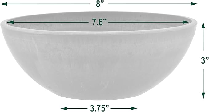 PSW Pot M20C Collection Shallow Garden Bowl Planter for Succulents, Bonsai, Fairy Gardens, Herbs, 8-inch, Chocolate