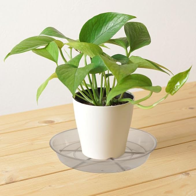 6 Pack Plant Saucer Drip Tray 9 10 inch, Plant Dishes Saucer, Heavy Sturdy Plastic Planter Flower Pot Saucers for Indoor Outdoor Garden, Plant Water Drip Trays for pots (10", Grey)