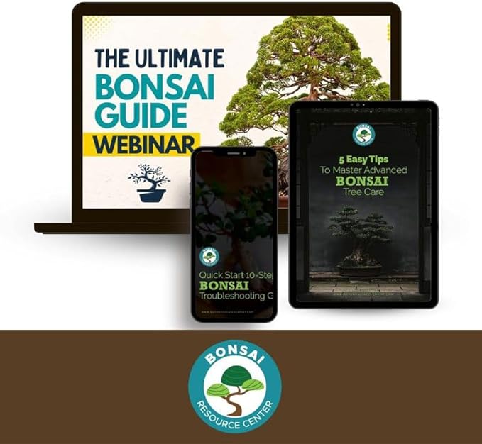 Bonsai Soil Mix, Ready to Use - Bonsai Potting Soil - Great Drainage, Soil - Soil Can Also Be Used for Succulent, Cactus, Money Tree - Akadama Soil - Pumice for Plants