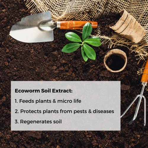 Ecoworm Soil Extract Organic Vermicompost Fertilizer for Indoor and Outdoor Flowers - 35 fl oz (Makes 53 gallons)