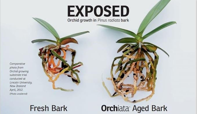 Orchiata Orchid Bark | Orchid Bark for Plants 100% Pure New Zealand Pinus Radiata | Classic ¼” to ⅜” Organic Potting Orchid Bark for Aeration and Longevity