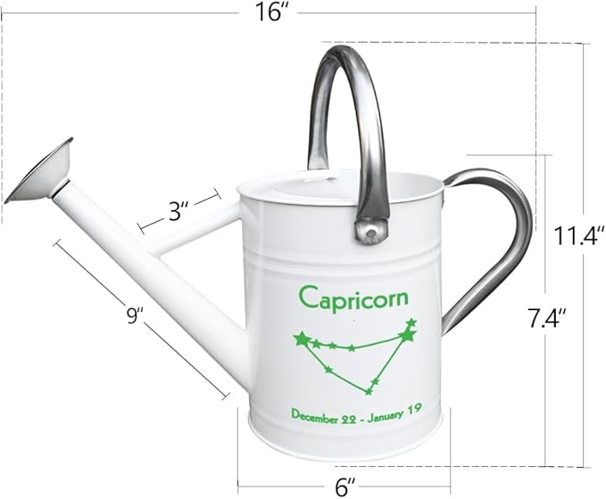 Metal Watering Can for Outdoor and Indoor Plants, Watering Can Decor, 1 Gallon (Capricorn)