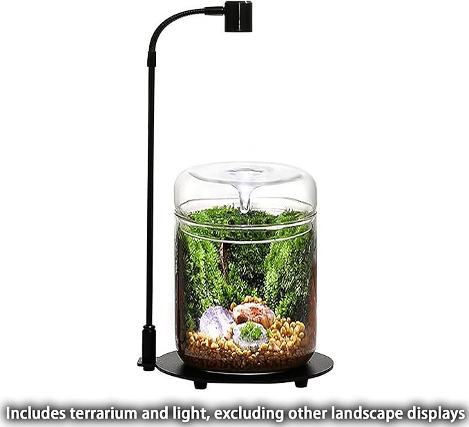 Glass Plant Terrarium 4.7"X7" Inches Succulent Air Planter Fern Moss Micro-Landscape Vase for Home Office Tabletop Decoration Container with Lid Indoor Wardian Copyright Patent(with Light)