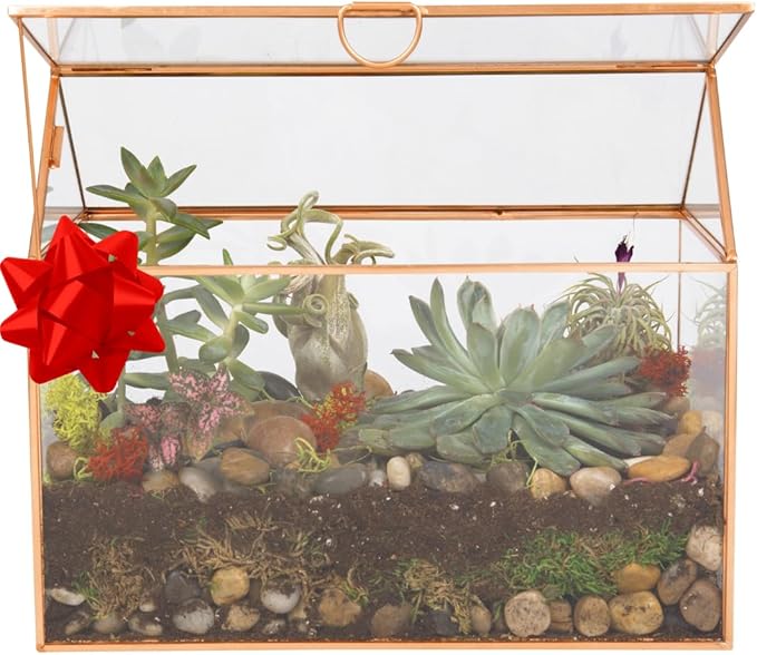 D'Eco Glass House Plant Terrarium (10"x6"x8") - Indoor Tabletop Gold Geometric Planter Terrarium for Succulents, Air Plants, Moss - Home, Garden, Wedding & Office Decor - Gift for Plant Lovers