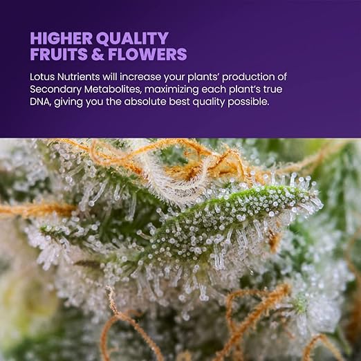 Lotus Nutrients Powdered Plant Nutrients Intro Pack, Grow, Bloom, Boost, and Cal/Mag with Nitrogen Calcium and Magnesium for Hydroponics Coco Coir and Soil, Indoor and Outdoor Plants