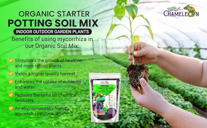 Organic Seed Starter Soil – Seed Starting Mix with Mycorrhizal Fungi – Natural Root Stimulator – Potting Soil for Vegetables and Herbs (10 QUARTS)