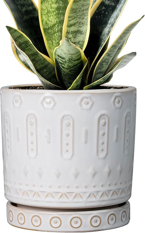 Pot for Plants 6 Inch - Ceramic Planter for Indoor Plants Decorative Plant Pot with Drainage Holes and Saucer Outdoor Flower Pot Modern Succulent Pot for Office Desk Decor White