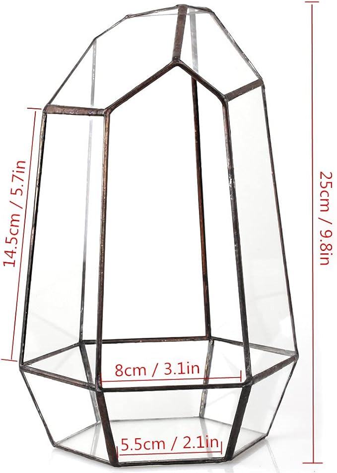 NCYP Geometric Glass Terrarium Planter for Succulent, Small Cacti - 6.5" x 5.7" x 9.8" Black Irregular Opened Container Pot, Indoor Home Garden Office Tabletop Decor (No Plants, No Door)