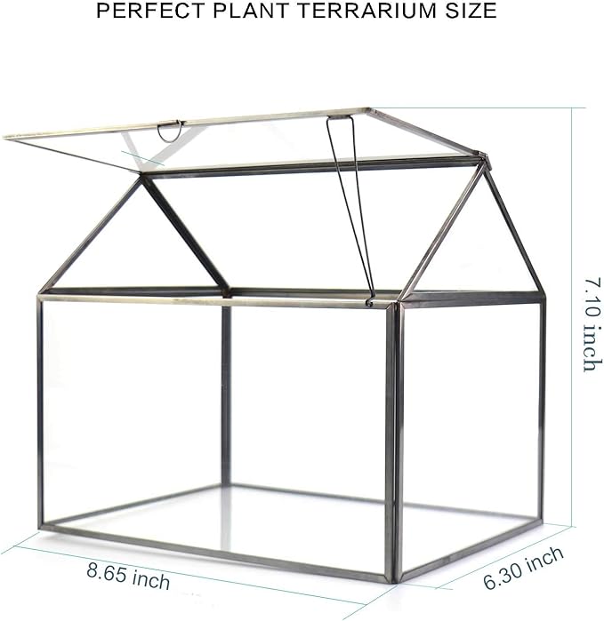 Large Glass Plant Terrarium – House Succulent Glass Terrarium Kit with Lip Glass Greenhouse Terrarium for Plant (Black 1)