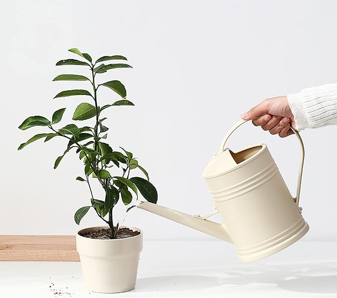 Watering Can for Indoor Plants, Flower Watering Can, Plastic Water Can for Plants, Indoor Watering Can with Sprinkler Head 68 oz, 1/2 Gallons