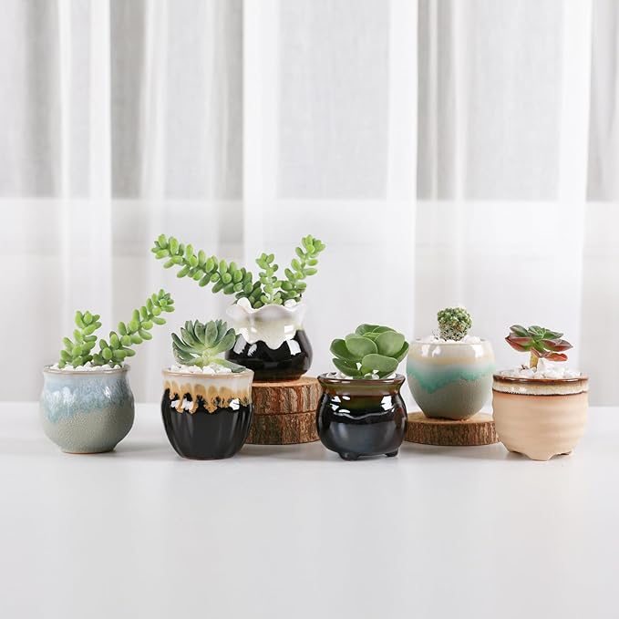 T4U Small Ceramic Succulent Pots with Drainage Set of 6, Mini Pots for Plants, Plant Lover Gifts for Women, Tiny Air Plant Flower Pots Cactus Faux Plants Containers, Home and Office Decor