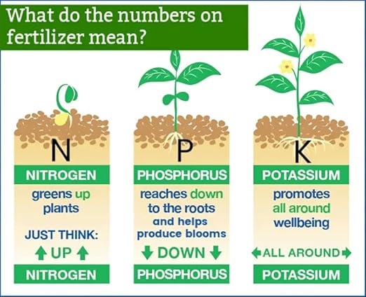 6-6-6 All Purpose Professional Garden Fertilizer - Nourish Your Plants for Healthy Growth and Vibrant Blooms - 1 Quart