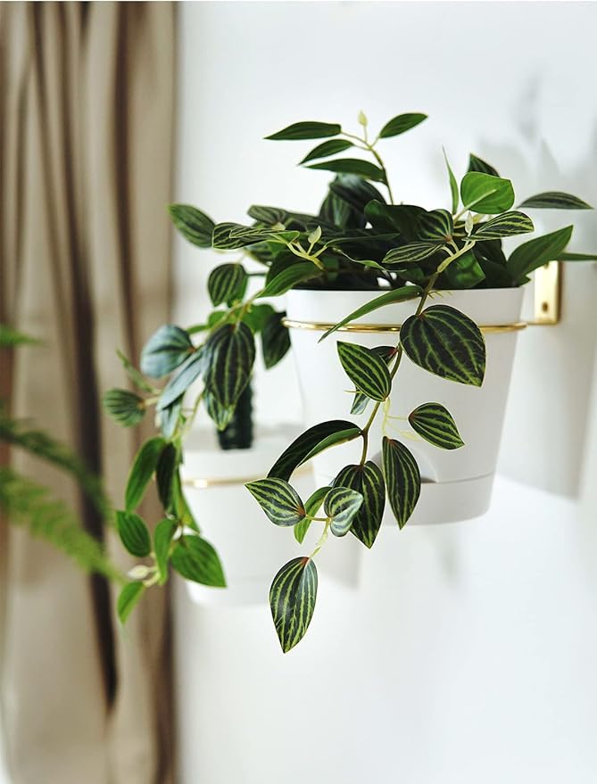 Wall Planters for Indoor Plants 3 Pack 6 Inch Flower Pot Holders Metal Ring with Self Watering Pots Wall Hanging Planters Gold-White
