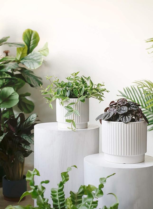 LE TAUCI Ceramic Plant Pots with Drainage Holes, Set of 3, 8+6.7+5.5 Inch Stripe Garden Planter Pots for Outdoor Indoor Plants Flower, Round Succulent Orchid Flower Pot, Small to Large Size, White
