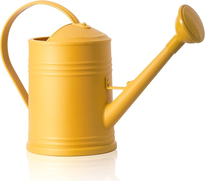 Watering Can for Indoor Plants, Plastic Flower Watering Can with Detachable Sprinkler Head, Indoor Watering Can for House Plants, Flowers 68oz 1/2 Gallon