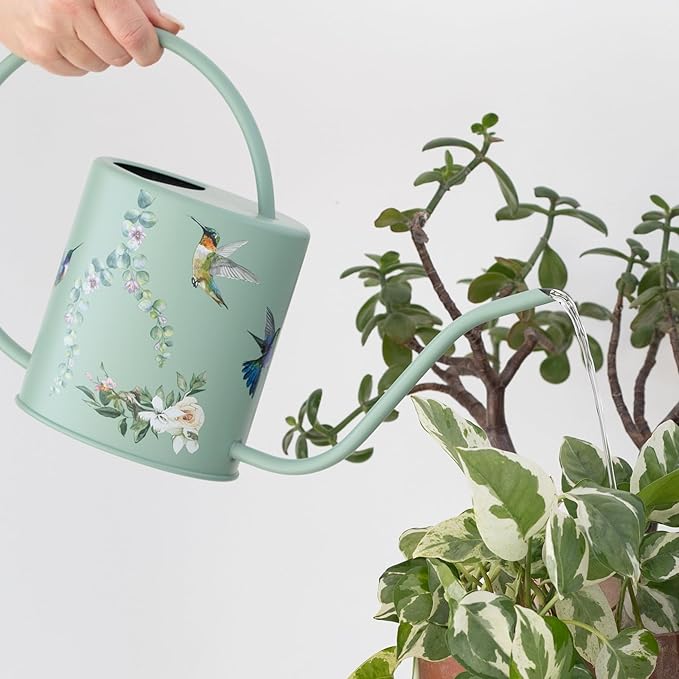 Watering Can for Indoor House Plants - Cute Decorative Metal Gardening Small Water Can for Houseplants & Flowers with Long Spout - 1.5L 51floz 0.4 Gallon (Hummingbird Sage)