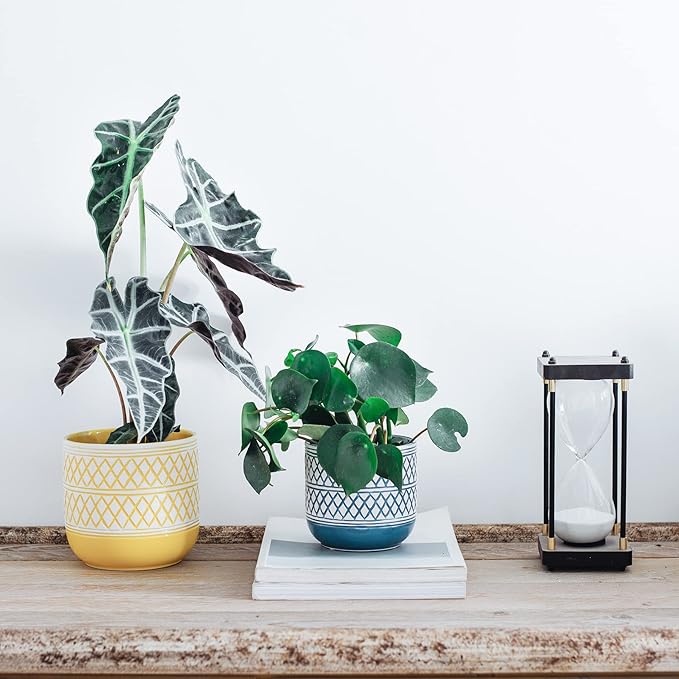 Ceramic Plant Pots, 6 + 4.7 inch Yellow Plant Pot, Flower Pots for Indoor Plants, Planter with Drainage Hole for Succulent Orchid Snake Plants Cactus