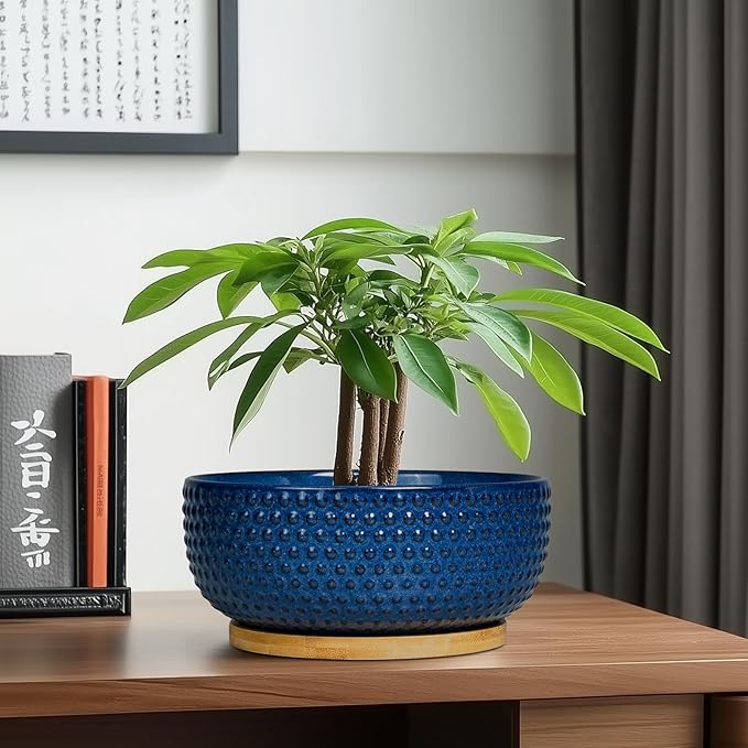 Bonsai Pots - 8 Inch Ceramic Pots for Succulent Plants & Bonsai Tree, Planter with Drainage Hole and Saucer, Modern Round Decorative Flower Planters, House Decor, GIFS for Women Man, Blue