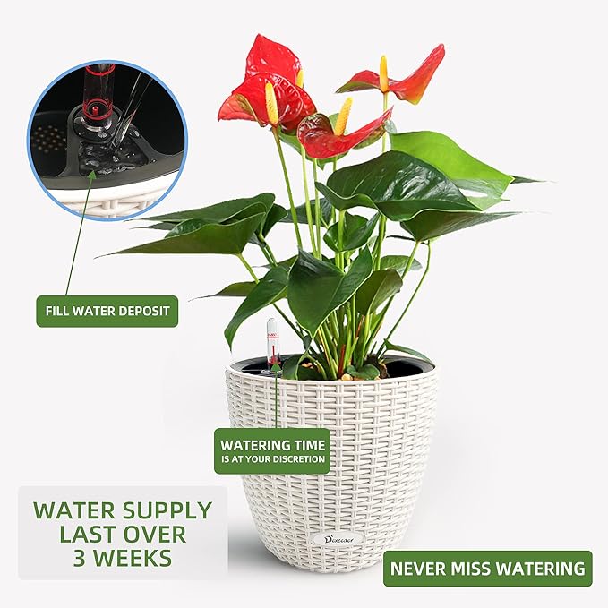 Dexceder 9x8 Inches Rattan Self Watering Planter Indoor Outdoor, Inner Pot Design, Thickened Table Flower Plant Pot with Water Level Indicator (Ivory White)