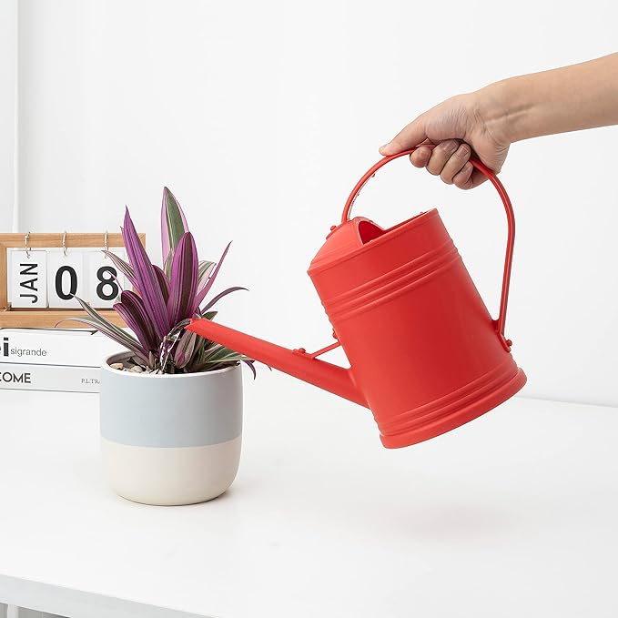 Watering Can for Indoor Plants, Flower Watering Can, Plastic Water Can for Plants, Indoor Watering Can with Sprinkler Head 68 oz, 1/2 Gallons