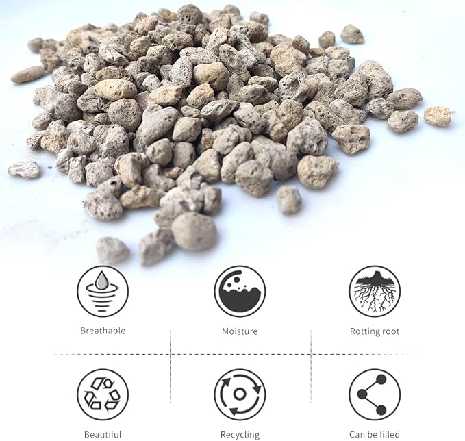 12QT Horticultural Pumice for Plants Professional Sifted - for Succulents, Cactus, Bonsai Plants - 3/8 inch (12QT)
