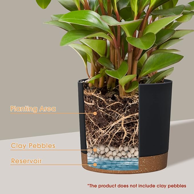 kubvici Plant Pots for Indoor Plants, 2 Pack 12 Inch Pots for Plants, Lightweight Large Planters for Indoor Plants Outdoor Plants, Big Plastic Black Plant Pot Flower Pot with Drainage (12” Black)