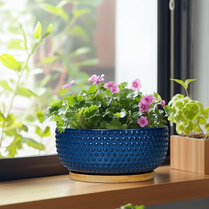 Bonsai Pots - 8 Inch Ceramic Pots for Succulent Plants & Bonsai Tree, Planter with Drainage Hole and Saucer, Modern Round Decorative Flower Planters, House Decor, GIFS for Women Man, Blue