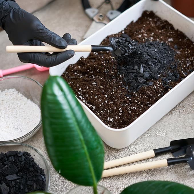 Horticultural Charcoal 4qt for Plants, Actived Charcoal Terrarium Supplies, Suitable for Indoor Plants, Succulent, Orchid, Cactus, Bonsai