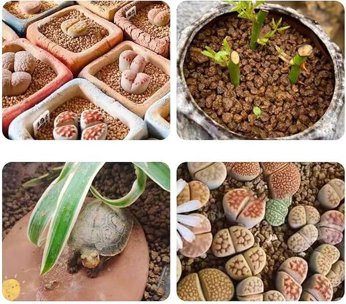 Akadama Bonsai Soil 5lbs Horticultural Potting Soil Amendment Cacti Succulent Plant Soil, Prevent Over Water, Provides Optimal Water Retention, Fast Drainage