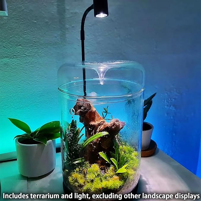 Glass Plant Terrarium 4.7"X7" Inches Succulent Air Planter Fern Moss Micro-Landscape Vase for Home Office Tabletop Decoration Container with Lid Indoor Wardian Copyright Patent(with Light)
