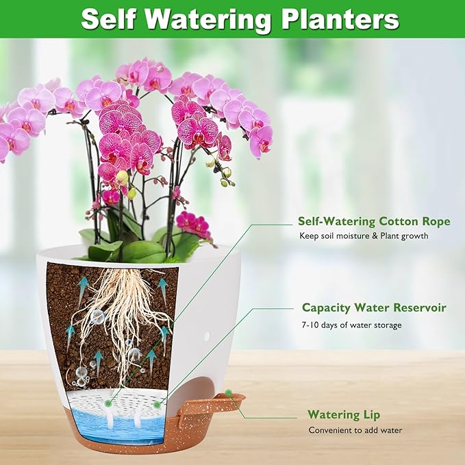 6 Inch Orchid Pots with Holes, 3 Pack Self Watering Planters for Orchids Plastic Orchid Pot Plant Flower Pots for Orchids Indoor Outdoor (Multicolor)