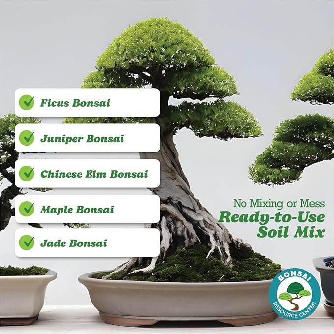 Bonsai Soil Mix, Ready to Use - Bonsai Potting Soil - Great Drainage, Soil - Soil Can Also Be Used for Succulent, Cactus, Money Tree - Akadama Soil - Pumice for Plants