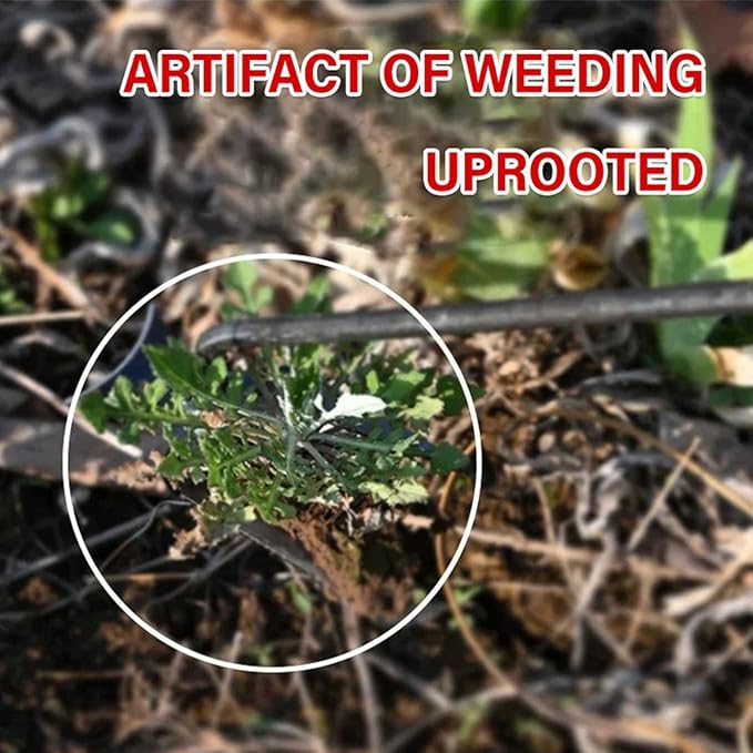 Weeding Artifact Uprooting Weeding Tool, Multifunctional Weeder, Hand Weeder Tool, 4 Teeth Stand Up Weed Puller Tool with Handle for Garden Yard Farm Weed Removal (16in, Extra Long Wood Handle)