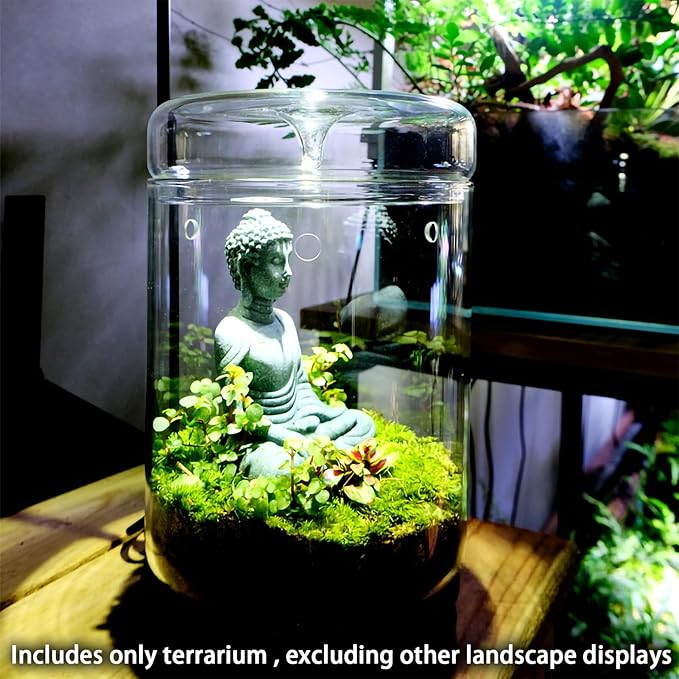 SARUFO Small Glass Plant Terrarium 4.7"X7" Inches Succulent Air Planter Fern Moss Micro-Landscape Vase for Home Garden Office Tabletop Decoration Container with Lid Indoor Wardian Copyright Patent