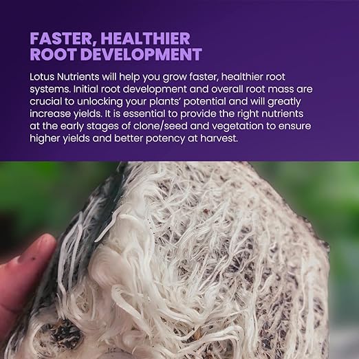 Lotus Nutrients Powdered Plant Nutrients Intro Pack, Grow, Bloom, Boost, and Cal/Mag with Nitrogen Calcium and Magnesium for Hydroponics Coco Coir and Soil, Indoor and Outdoor Plants