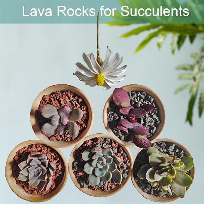 Lava Rocks for Plants, 2lbs Volcanic Stones Gravel Horticultural Drainage Potting Soil for Indoor Outdoor Plants, Succulents, Bonsai, Cactus, Vase Fillers, Top Dressing (2LBS, RED, 1)