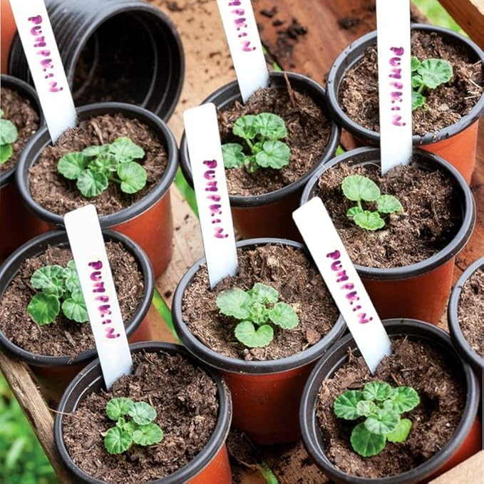 TDHDIKE Plastic Planter Nursery Pots 4" Small (50pcs Pots and 50pcs Labels) Seedlings Flower Pots Container Seed Starting Pots for Plants
