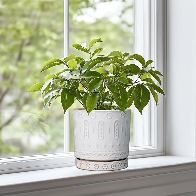 Pot for Plants 6 Inch - Ceramic Planter for Indoor Plants Decorative Plant Pot with Drainage Holes and Saucer Outdoor Flower Pot Modern Succulent Pot for Office Desk Decor White