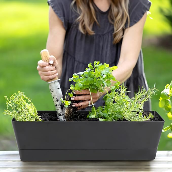GREANER Herb Window Boxes 1PCS 16x3.8 Inch, Black Planter with Removable Trays and Drainage Holes, Succulent Flower Rectangular Plastic Pot for Balcony, Office, Windowsill, Garden, Indoor Outdoor Use