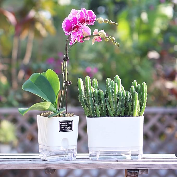 FAMZ Self Watering Planters 4 Pack,Self Watering Pots for Indoor Plants,Automatic Moisturizing,Transparent Square Flower Pot for Indoor and Outdoor Plants,Succulents,Violets,Ivy