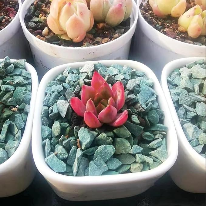 Succulents and Cactus Green Zeolite Rocks, Decorative Stones Pebbles for Indoor Plants, Bonsai, Fairy Gardening, Terrarium, 2lb