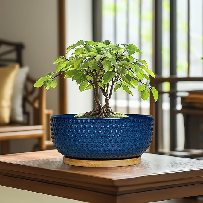 Bonsai Pots - 8 Inch Ceramic Pots for Succulent Plants & Bonsai Tree, Planter with Drainage Hole and Saucer, Modern Round Decorative Flower Planters, House Decor, GIFS for Women Man, Blue