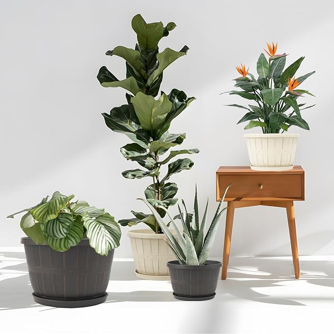 Quarut 12 Inch Large Planter Pot for Plants Indoor Outdoor, 4 Pack Plastic Flower Pots with Drainage Hole & Tray, Modern Decorative Garden Pot with Saucer, Plant Container for House(Brown)