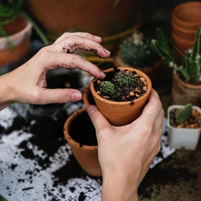 Succulent and Cactus Soil Potting Mix 1.1 LBS, Bonsai Soil Mix Ready to Use, Fast Draining with Added Nutrients