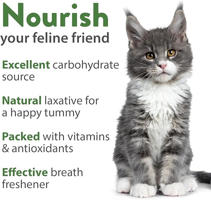 HOME GROWN 3200+ Cat Grass β π‘π’π‘-ππ π’ π¨π¦π Grown Catnip, Alfalfa, Oat, Cat Grass Mix β Indoor Cat Grass Kit Refill β High-Germination Pet Grass for Hairball Relief & Digestion