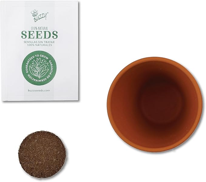 BUZZY Seeds Terracotta Mini Grow Pots | Herb, Plant, Flower Starter Kit for Kids & Adults | Assorted 12-Pack, Radiant Collection | Guaranteed to Grow | Best Indoor Grow Your Own Plant Gardening Gift