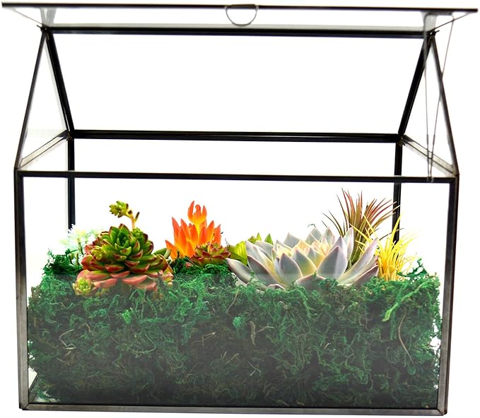 Large Glass Plant Terrarium – House Succulent Glass Terrarium Kit with Lip Glass Greenhouse Terrarium for Plant (Black 1)