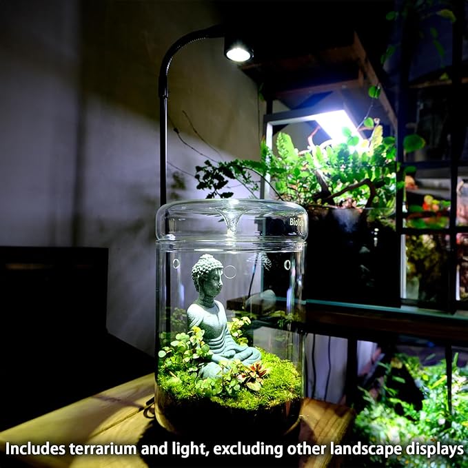 Glass Plant Terrarium 4.7"X7" Inches Succulent Air Planter Fern Moss Micro-Landscape Vase for Home Office Tabletop Decoration Container with Lid Indoor Wardian Copyright Patent(with Light)
